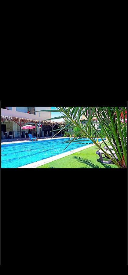 Dead Sea Lafamilia Albadwan Lejlighedshotel Sweimeh Eksteriør billede